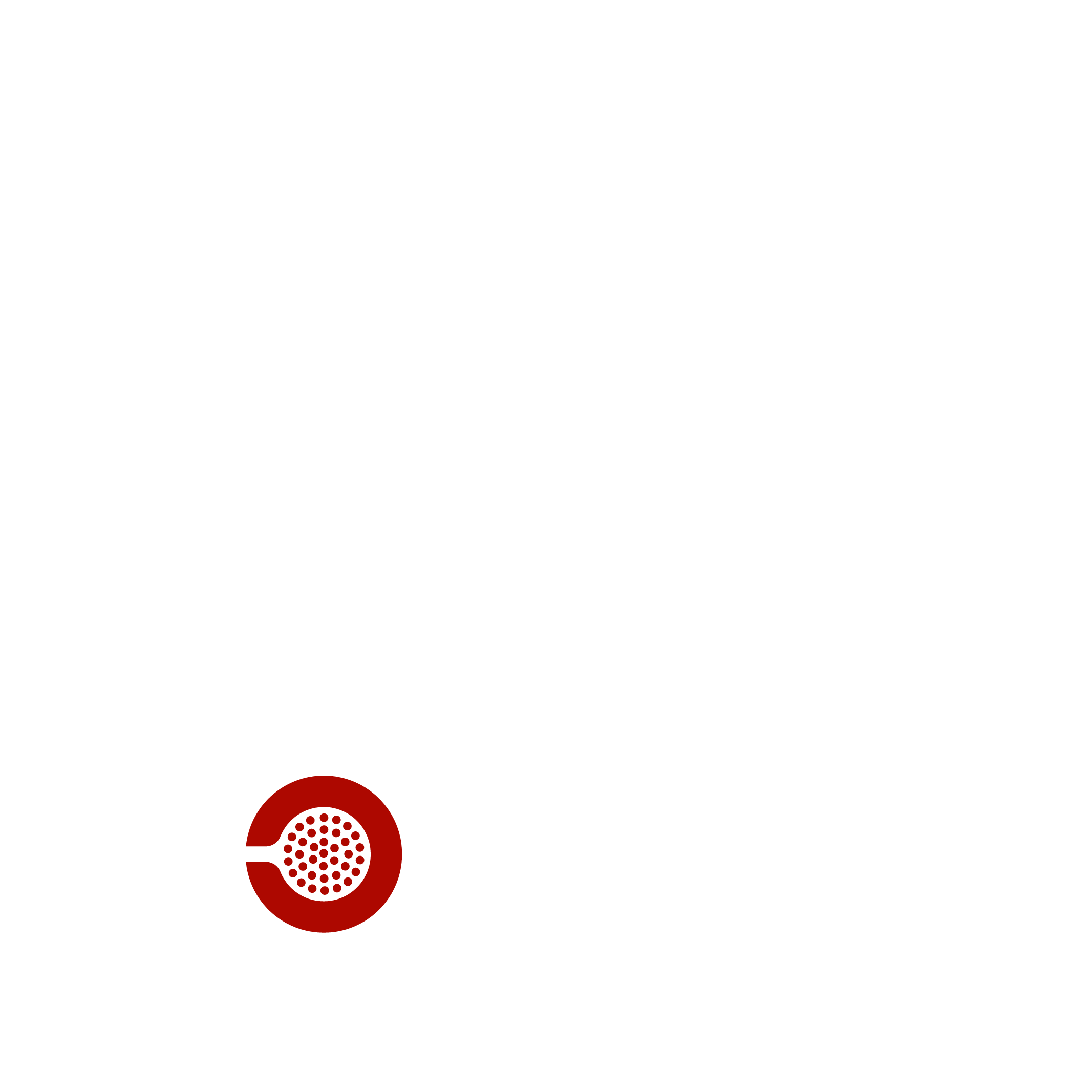 CULTURAL festival